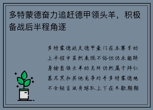 多特蒙德奋力追赶德甲领头羊，积极备战后半程角逐